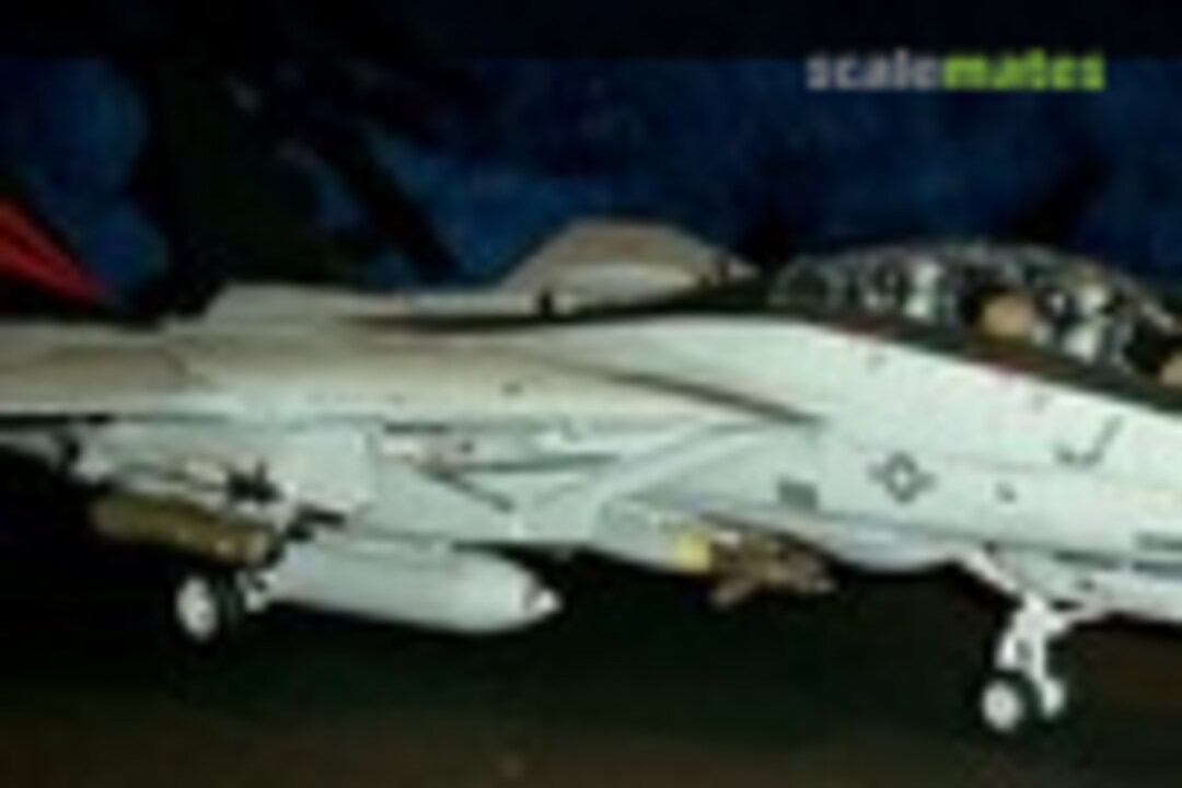 Grumman F-14A Tomcat 1:32