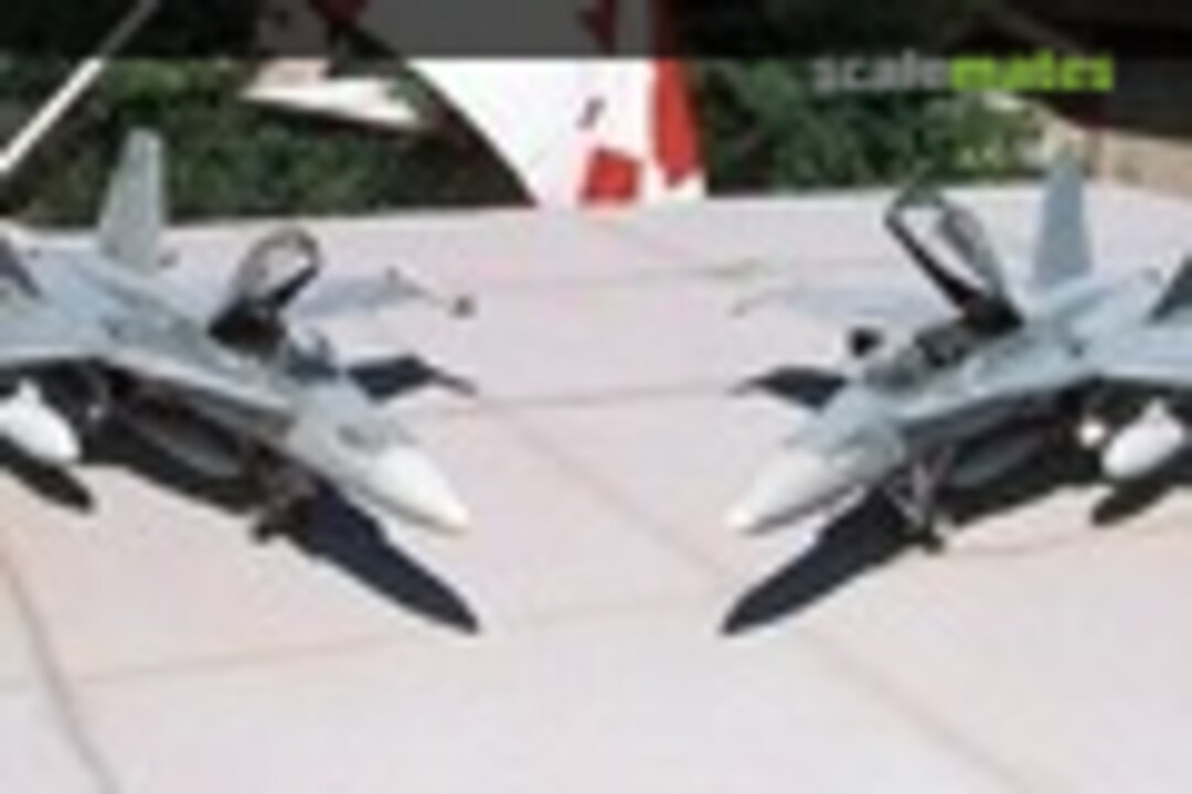McDonnell Douglas CF-18 Hornet 1:72