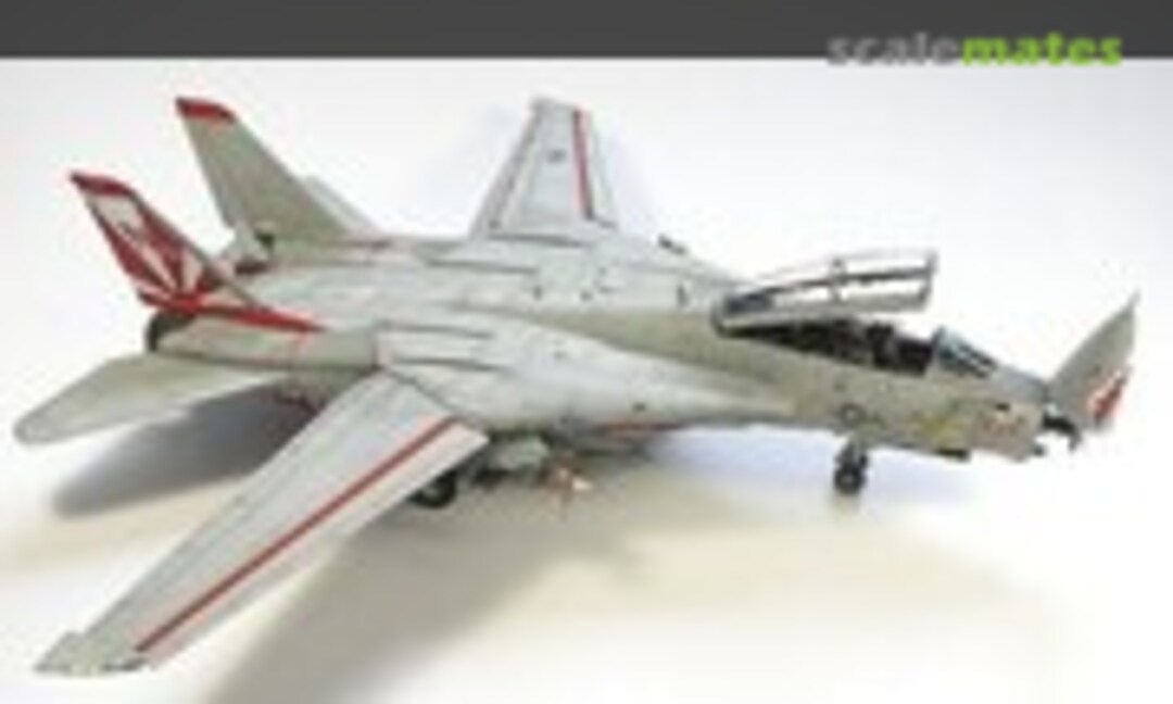 Grumman F-14 Tomcat 1:48