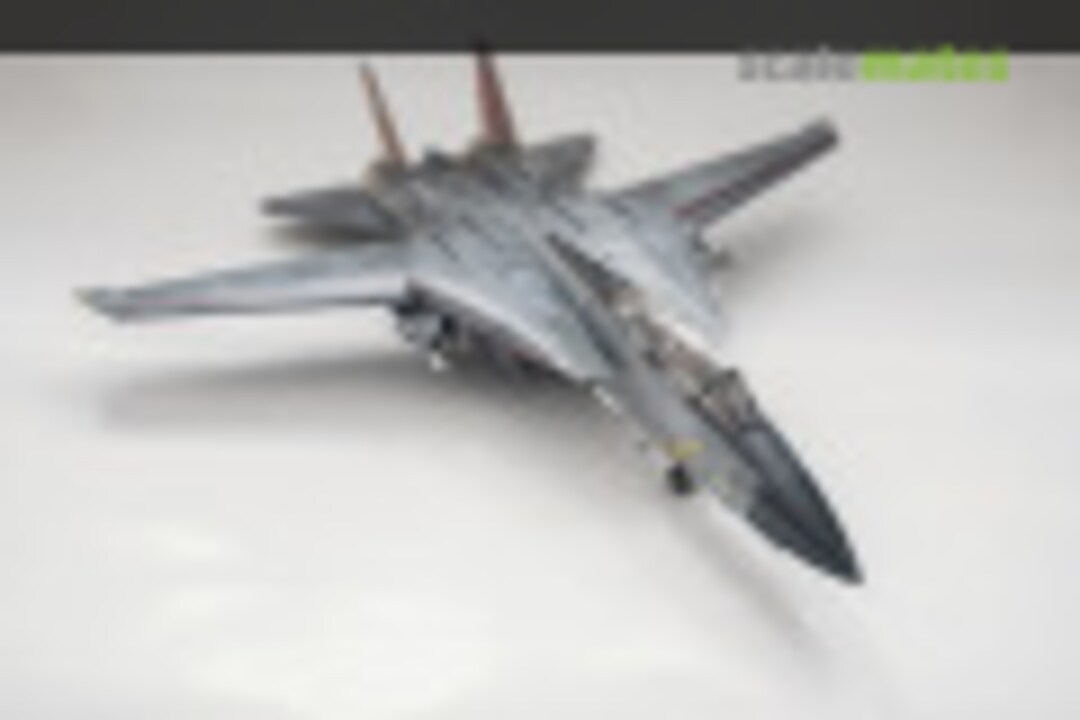 Grumman F-14D Super Tomcat 1:48