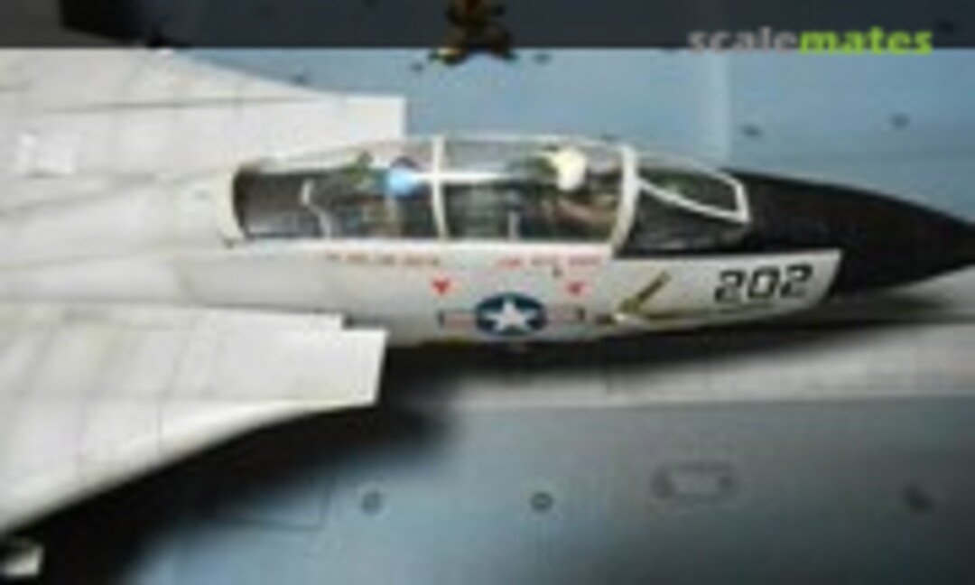 Grumman F-14 Tomcat 1:72