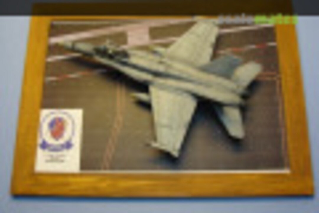 McDonnell Douglas F/A-18C Hornet 1:72