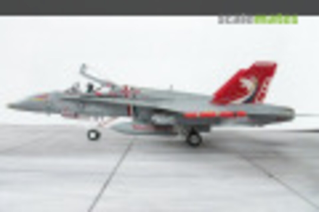 McDonnell Douglas F/A-18C Hornet 1:72