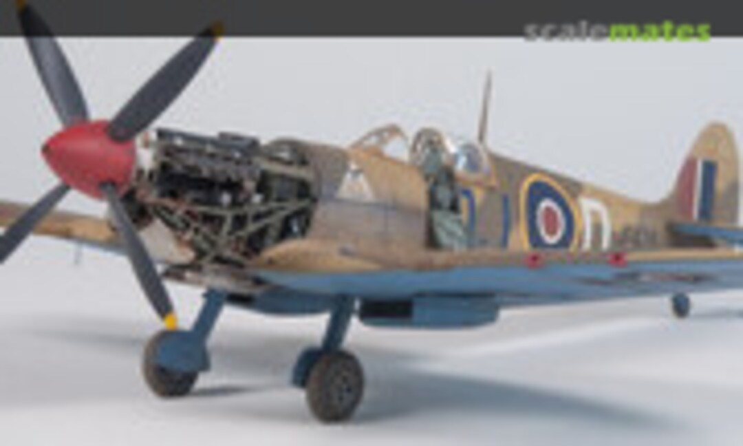 Supermarine Spitfire F Mk.VIII 1:48