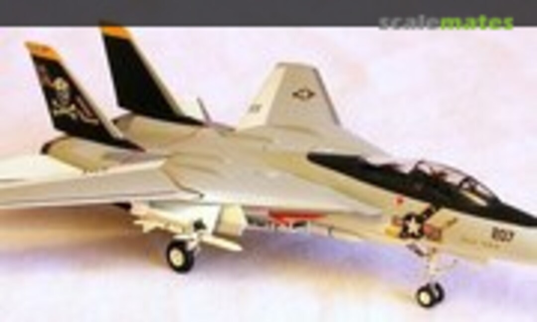 Grumman F-14A Tomcat 1:100