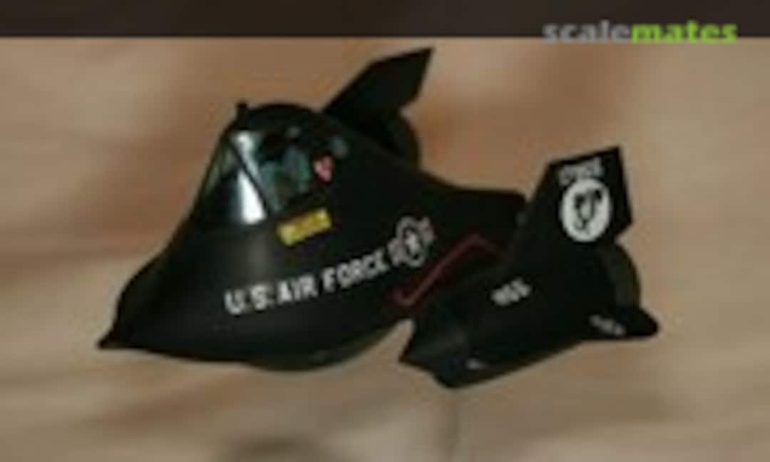 Lockheed SR-71 Blackbird Egg Plane 1:Egg