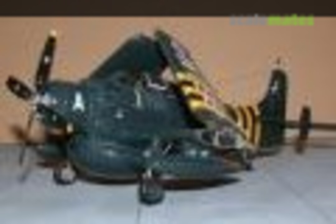 Douglas A-1 Skyraider 1:48