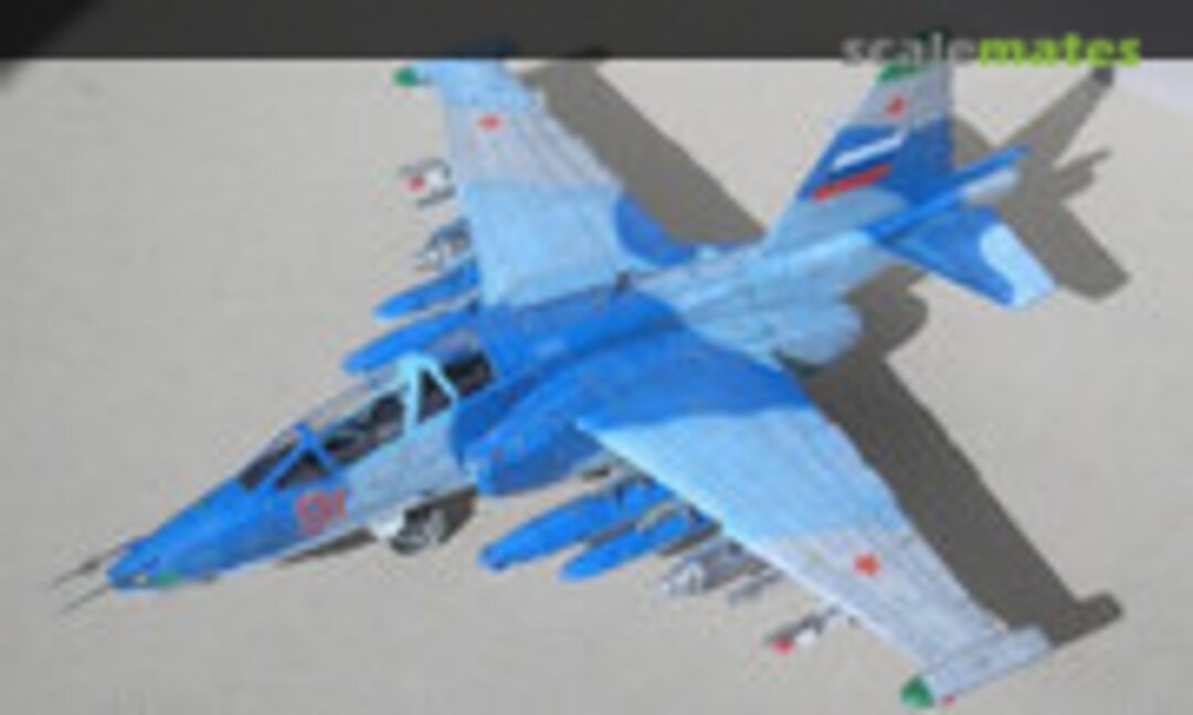 Sukhoi Su-25UB Frogfoot 1:48