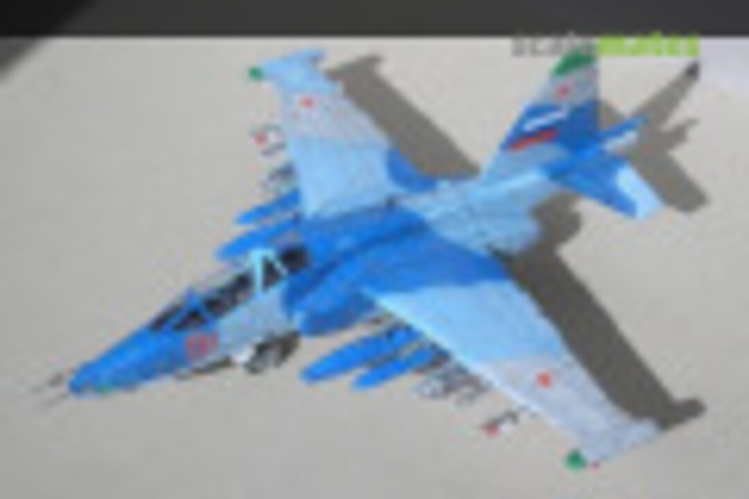 Sukhoi Su-25UB Frogfoot 1:48