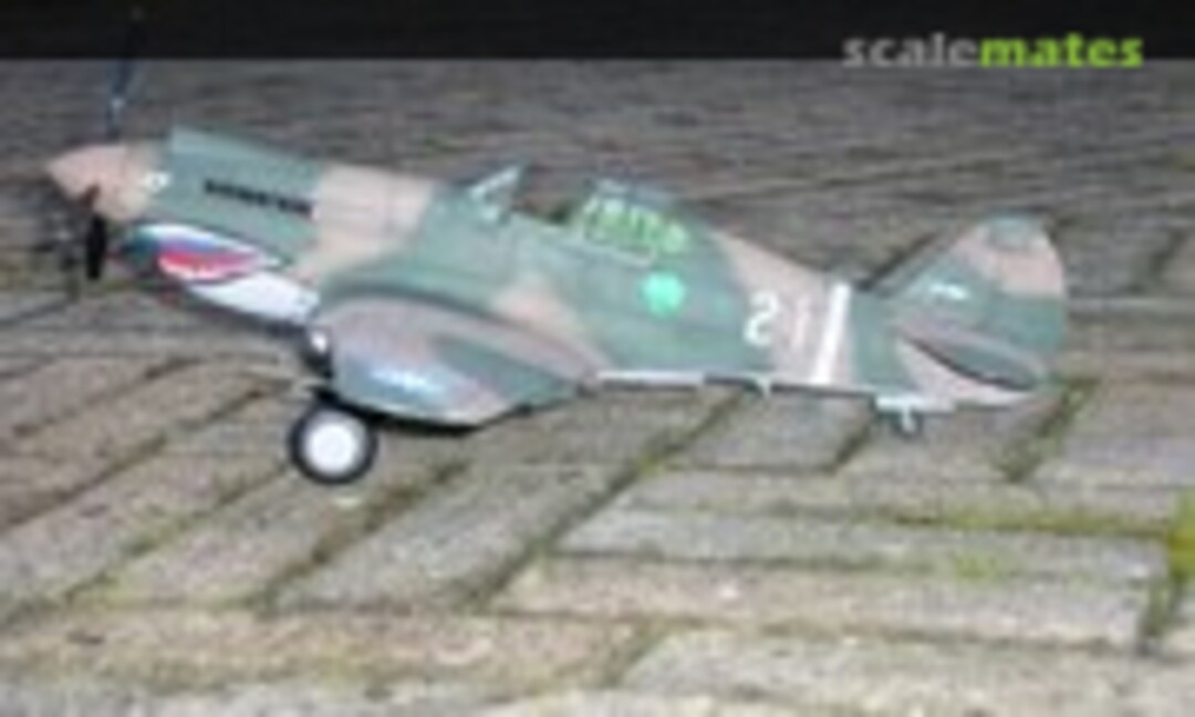 Curtiss P-40B Tomahawk 1:24