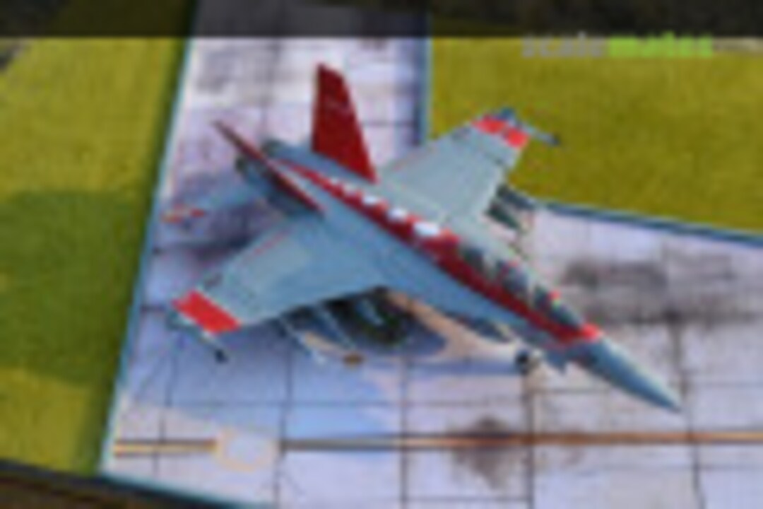 Boeing F/A-18F Super Hornet 1:48