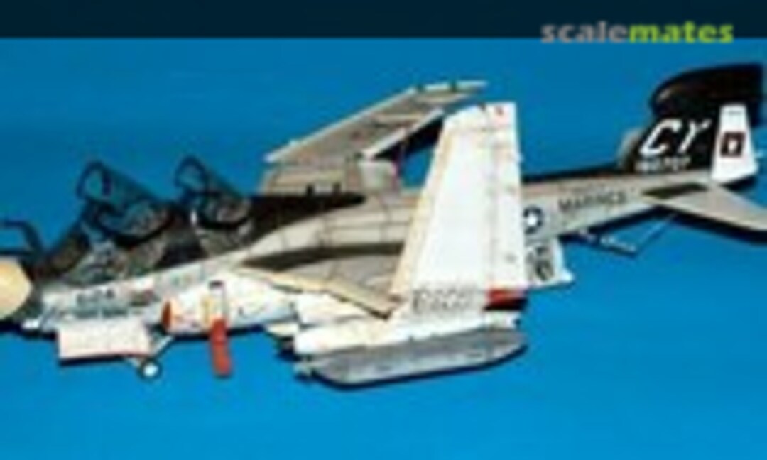 Grumman EA-6B Prowler 1:48