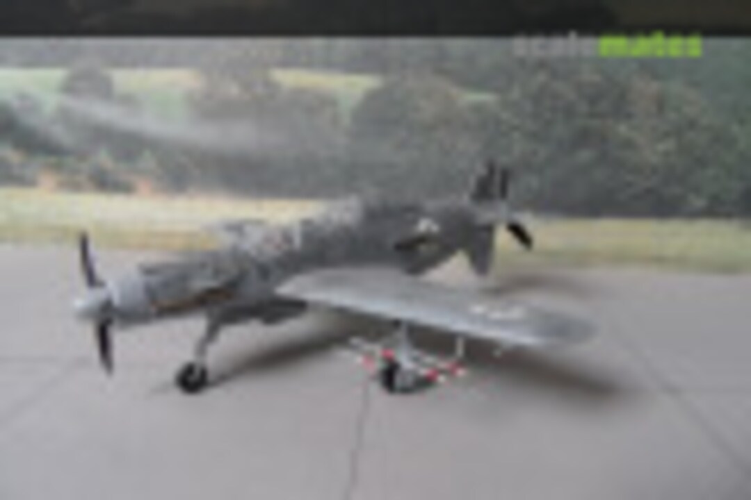 Dornier Do 335 A-6 1:72