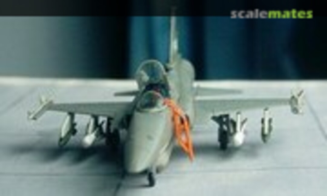 Northrop F-20 Tigershark 1:144