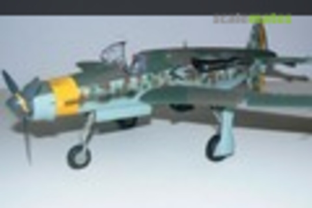 Dornier Do 335 1:32