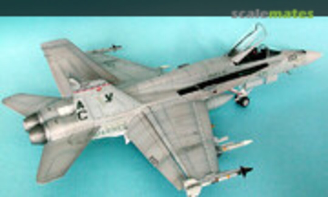 McDonnell Douglas F/A-18C Hornet 1:48