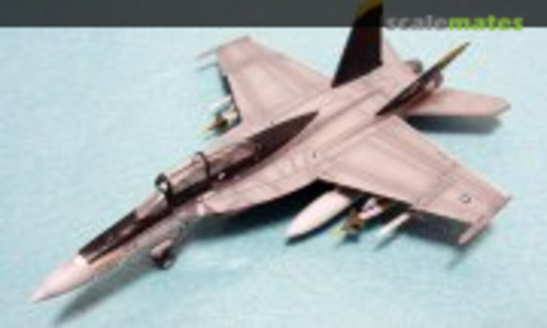 Boeing F/A-18F Super Hornet 1:144