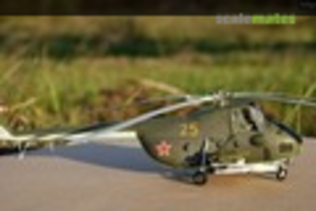 EXPO - IPMS Deutschland Show 1:72