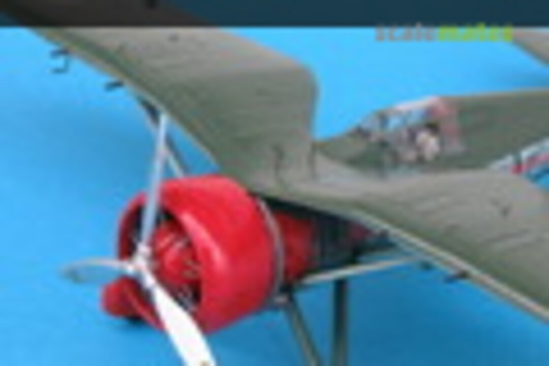 PZL P.24B 1:72