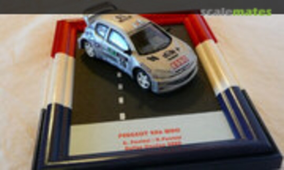 Peugeot 206 WRC 1:43