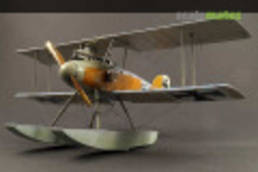 Albatros W.4 1:48