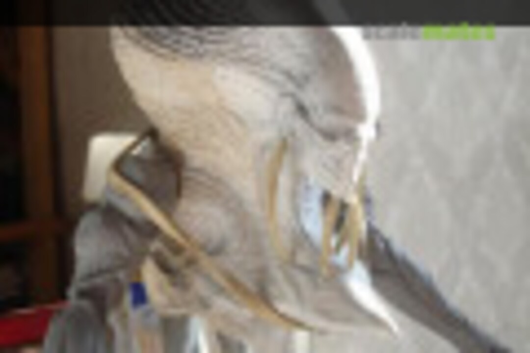 Alien Exoskeleton 1:10