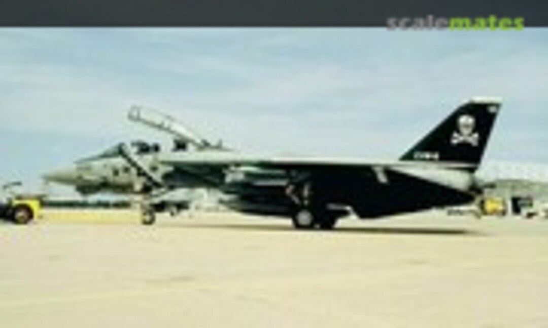 Grumman F-14A Tomcat 1:48