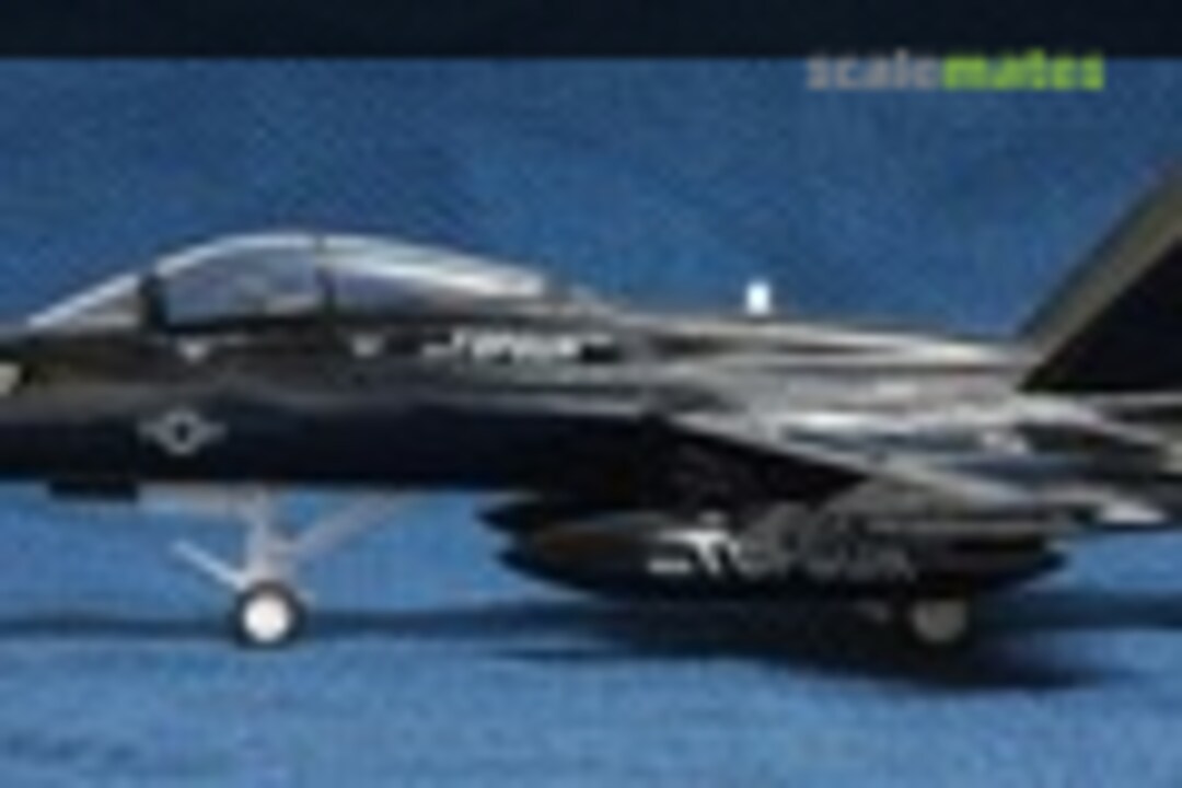 McDonnell Douglas F/A-18B Hornet 1:72