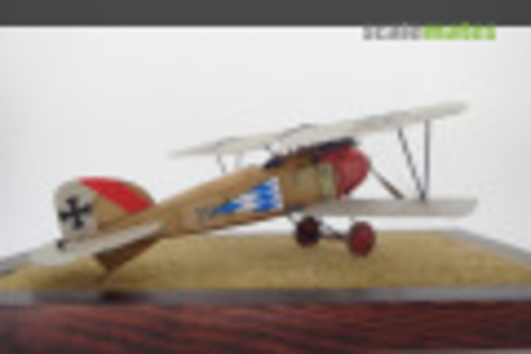Albatros D.III 253 (Oeffag) 1:48