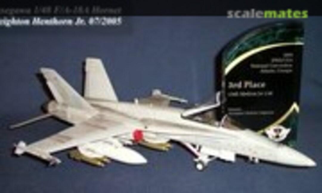 McDonnell Douglas F/A-18A Hornet 1:48