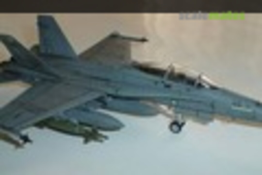 McDonnell Douglas F/A-18D Hornet 1:72