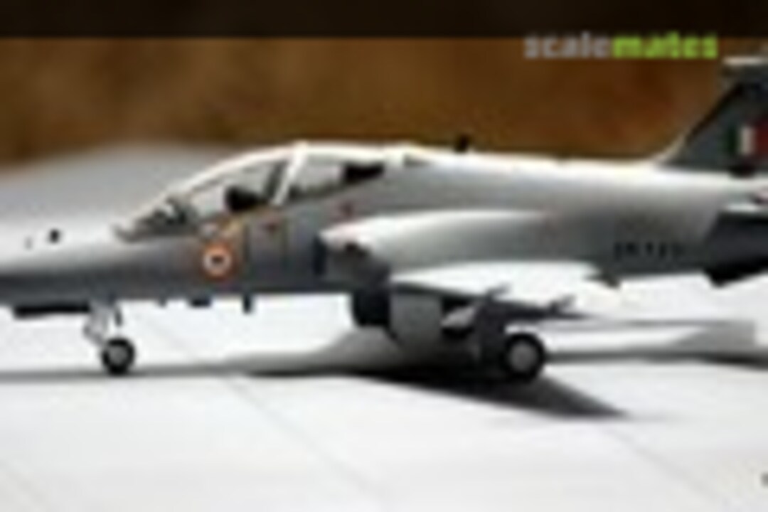 Hawk 1:72