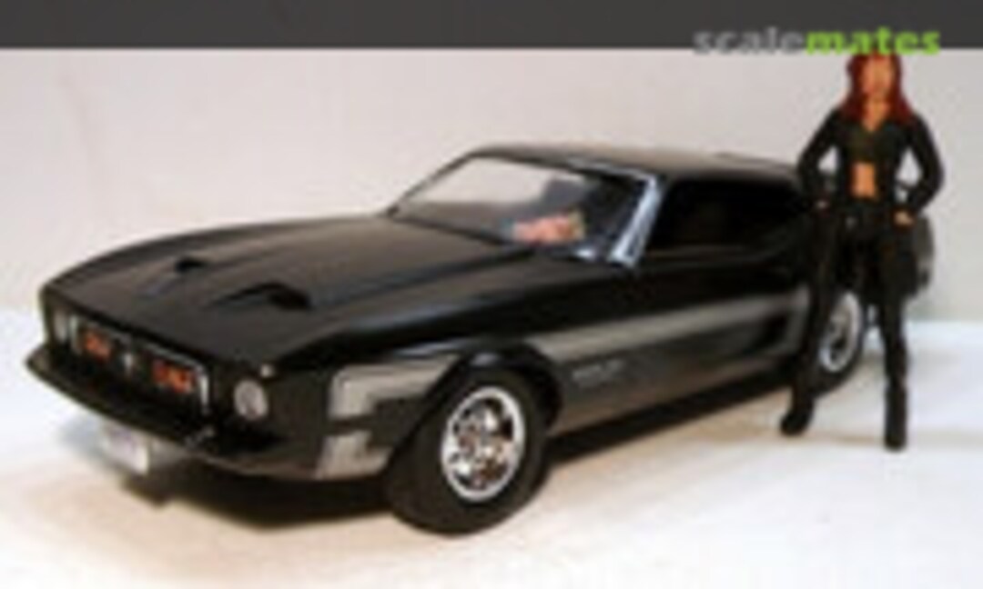 1971 Ford Mustang 1:24