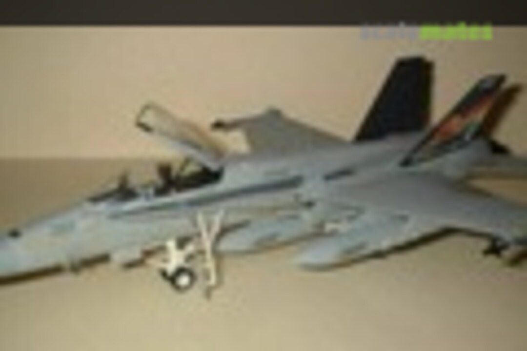 McDonnell Douglas F/A-18C Hornet 1:72
