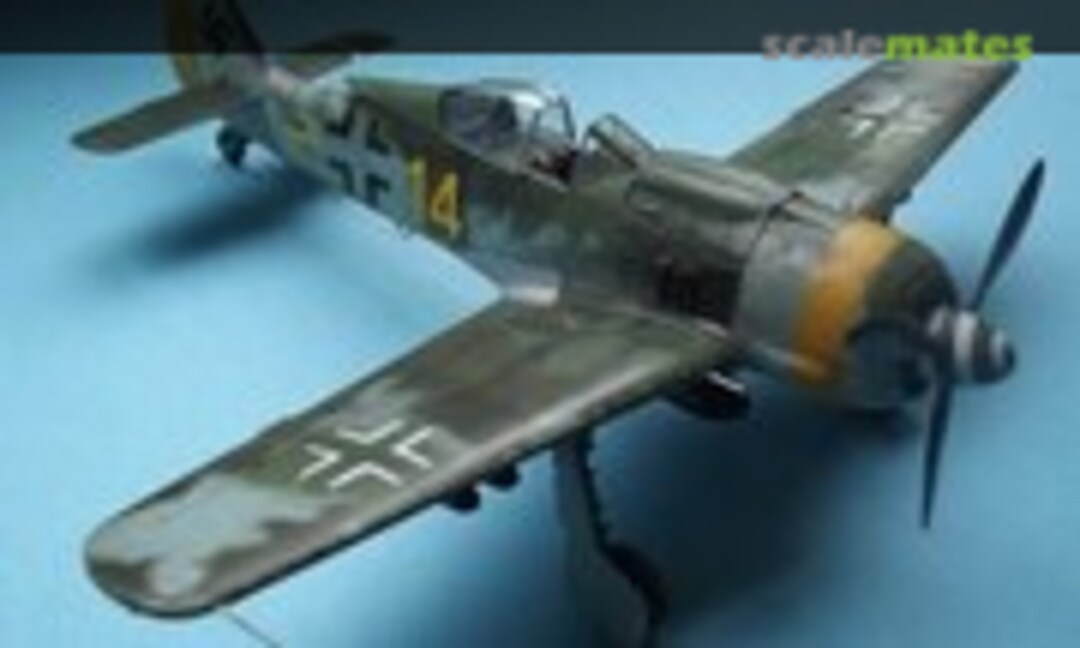 Focke-Wulf Fw 190F-8 1:48