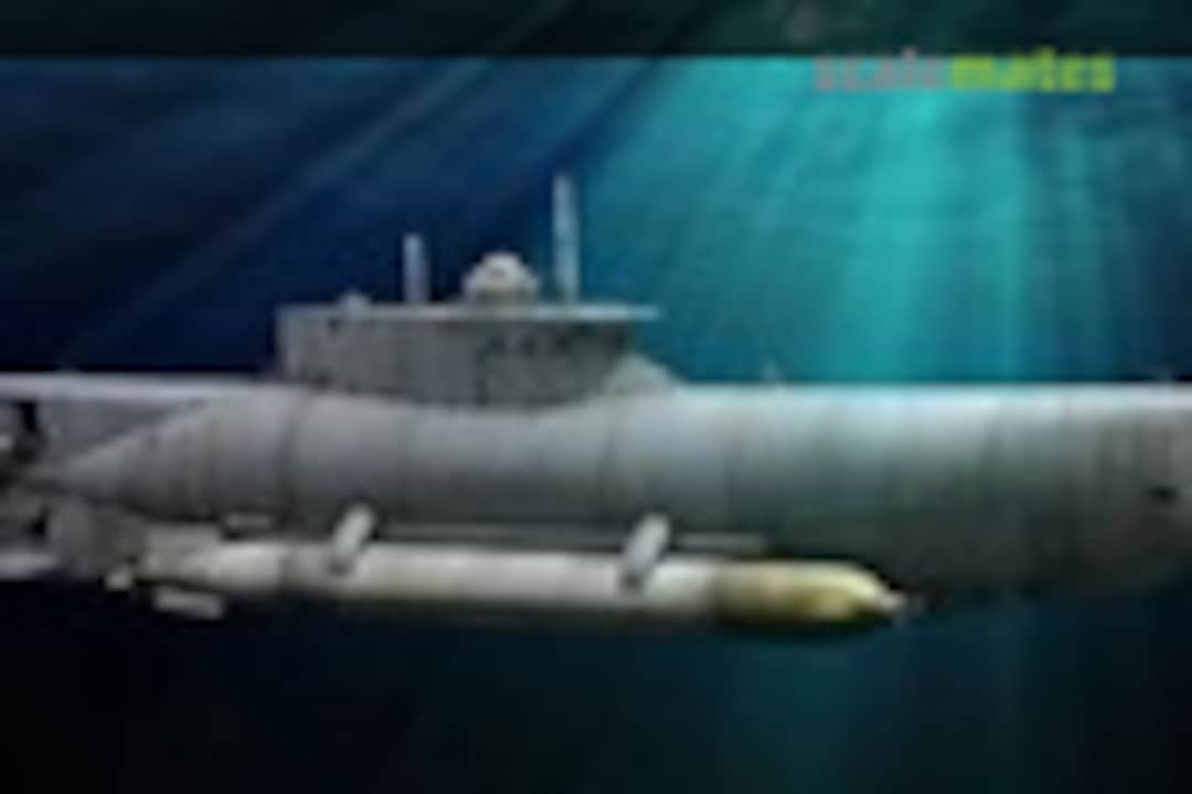 Малые пл. Зеехунд подводная лодка. Немецкая подлодка Зеехунд. Подлодки Зеехунд тюлень. Мини подводная лодка Зеехунд.