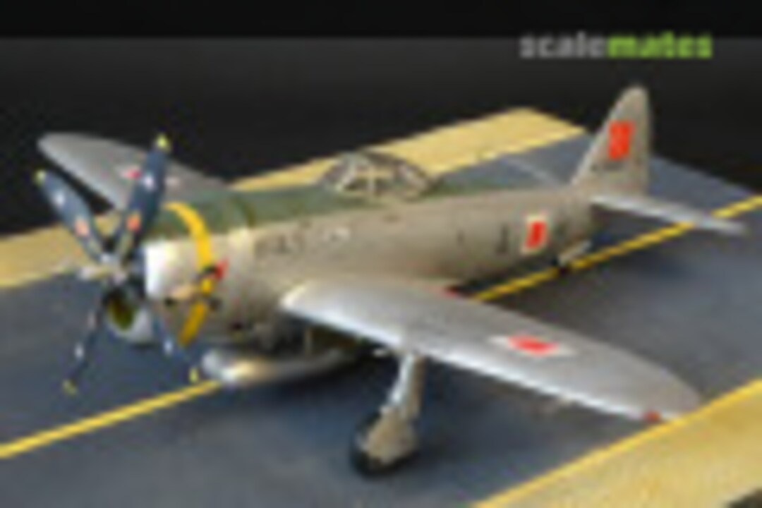 Republic P-47D Thunderbolt 1:48