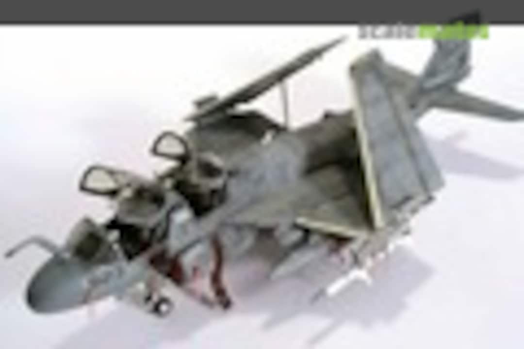 Grumman EA-6B Prowler 1:48