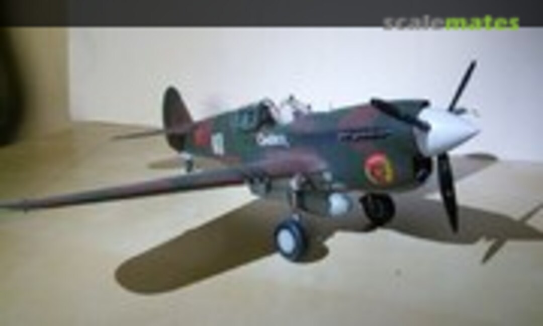 Curtiss P-40 Warhawk 1:32