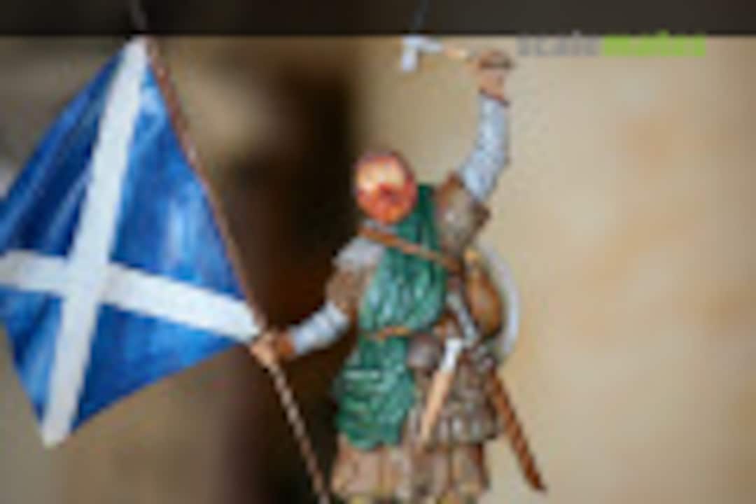Scottish Highlander 1:75