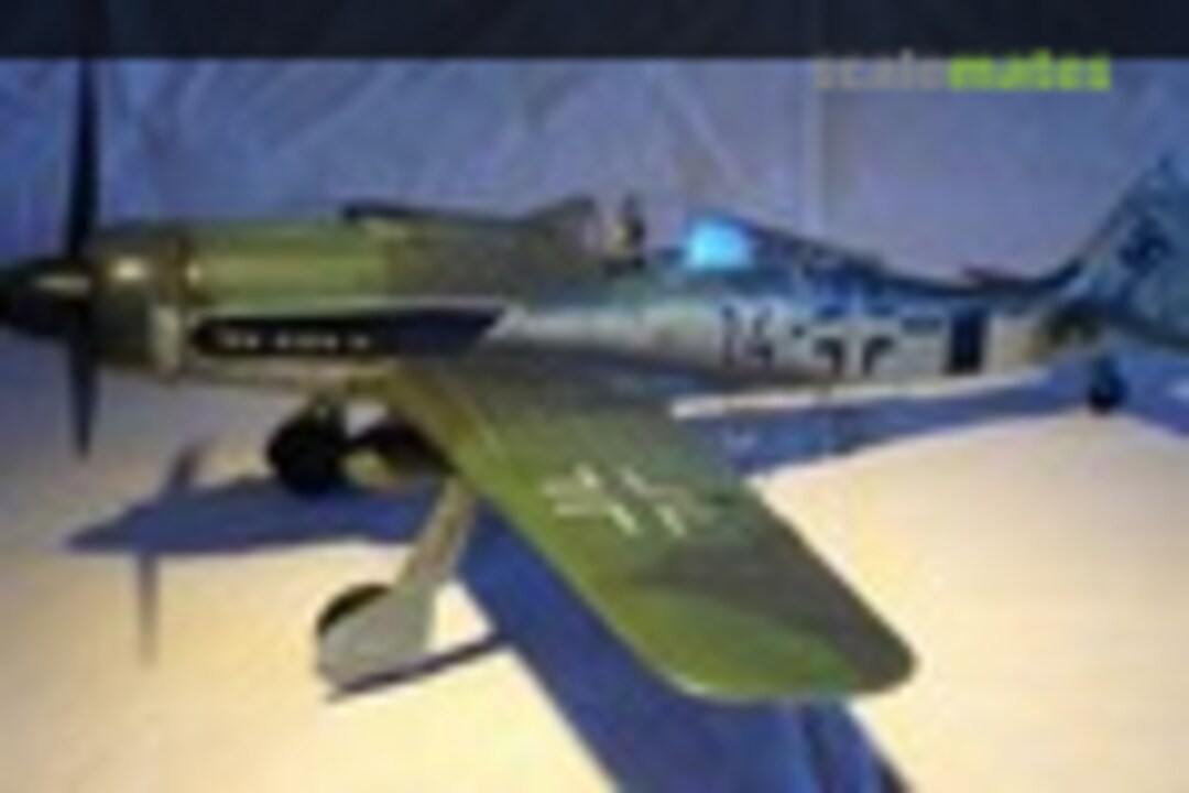Focke-Wulf Fw 190D-9 1:32