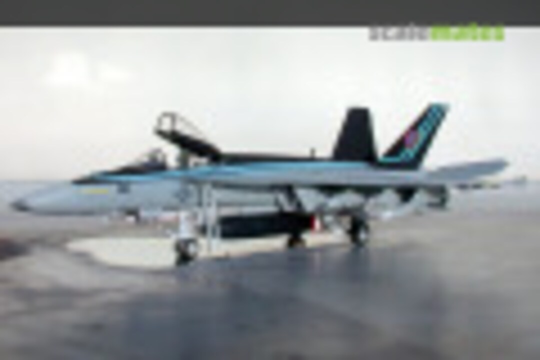 Boeing F/A-18E Super Hornet 1:48