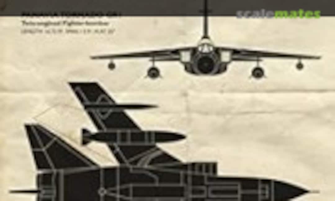 Tornado Down (Penguin Books )