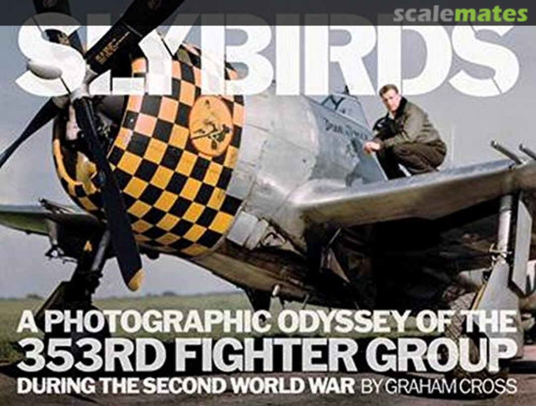 Cover Slybirds Fighting High Cover Slybirds Fighting High