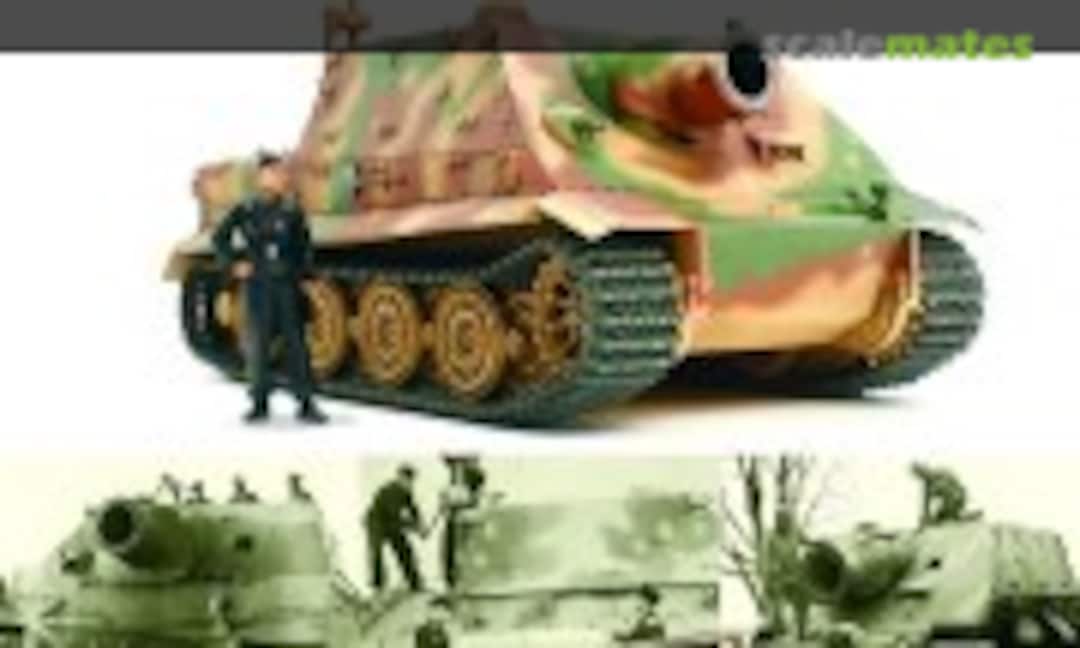 Sturmtiger (Pen & Sword 48)
