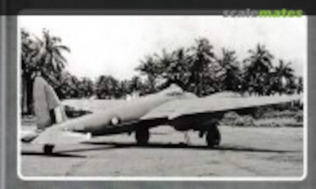 The de Havilland Mosquito (Busybird Publishing )