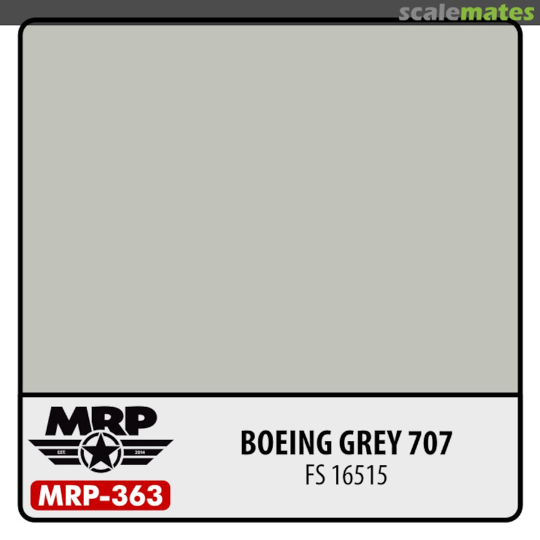 Boxart Boeing Grey 707 (FS16515)  MR.Paint