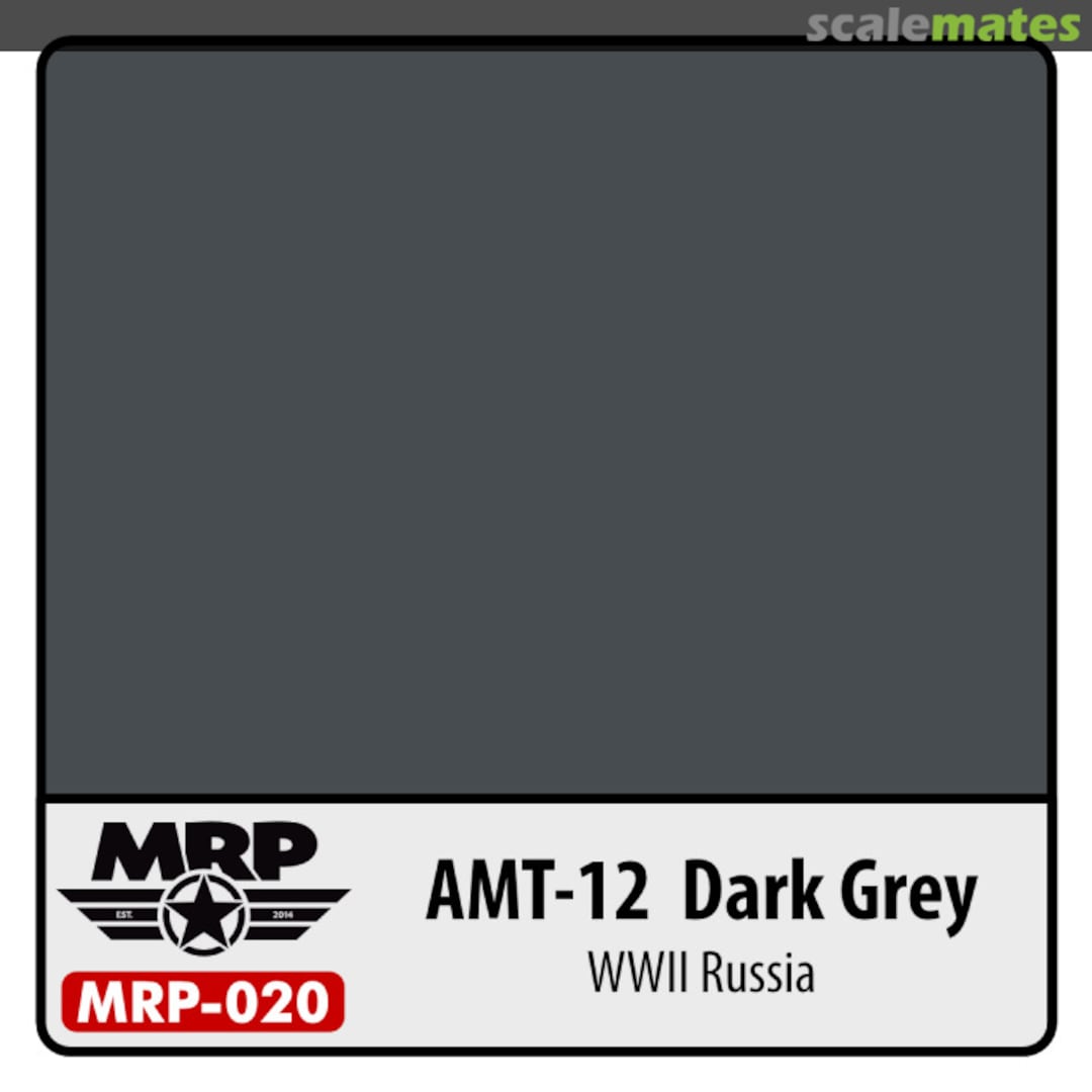 Boxart AMT-12 Dark Grey  MR.Paint