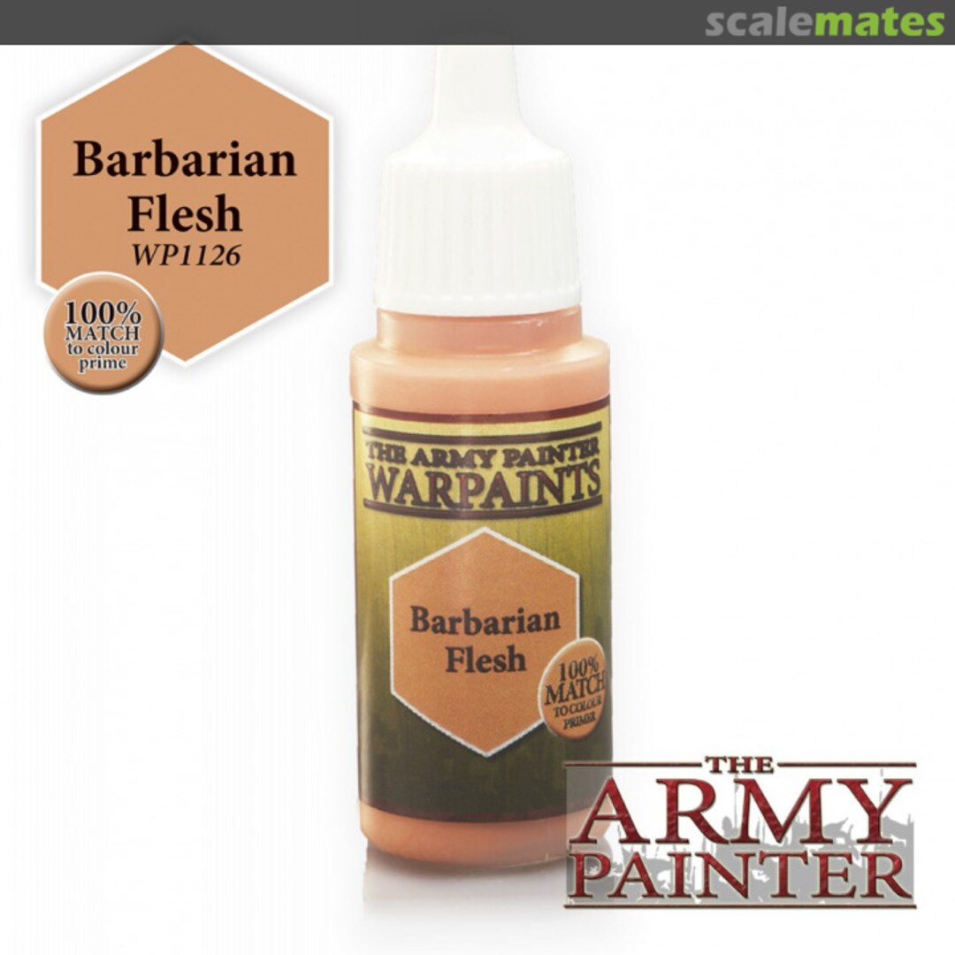 Boxart Barbarian Flesh  The Army Painter