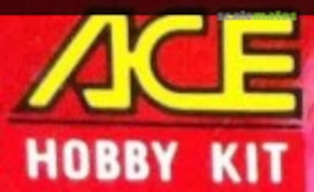 Grumman F-14 Tomcat (ACE Hobby Kit 1703) Grumman F-14 Tomcat (ACE Hobby Kit 1703)